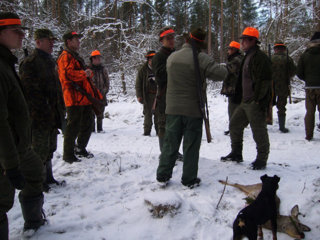 Polowanie Wigilijne 2008